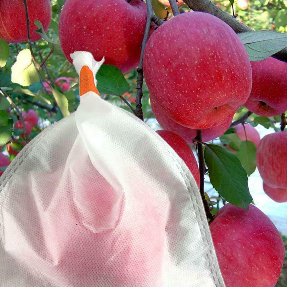 水果套袋專用PP無紡布，水果套袋專用PP無紡布的優(yōu)勢，水果套袋專用PP無紡布的好處，采購水果套袋專用PP無紡布 